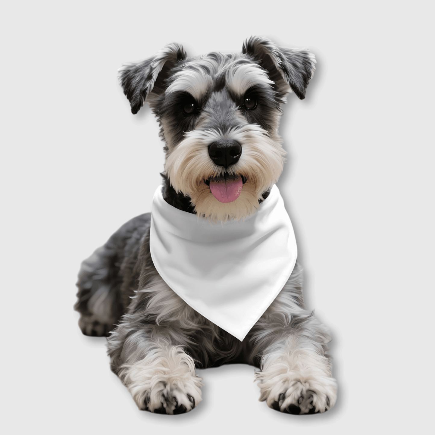 Custom Personalized Pet Bib - Image 1