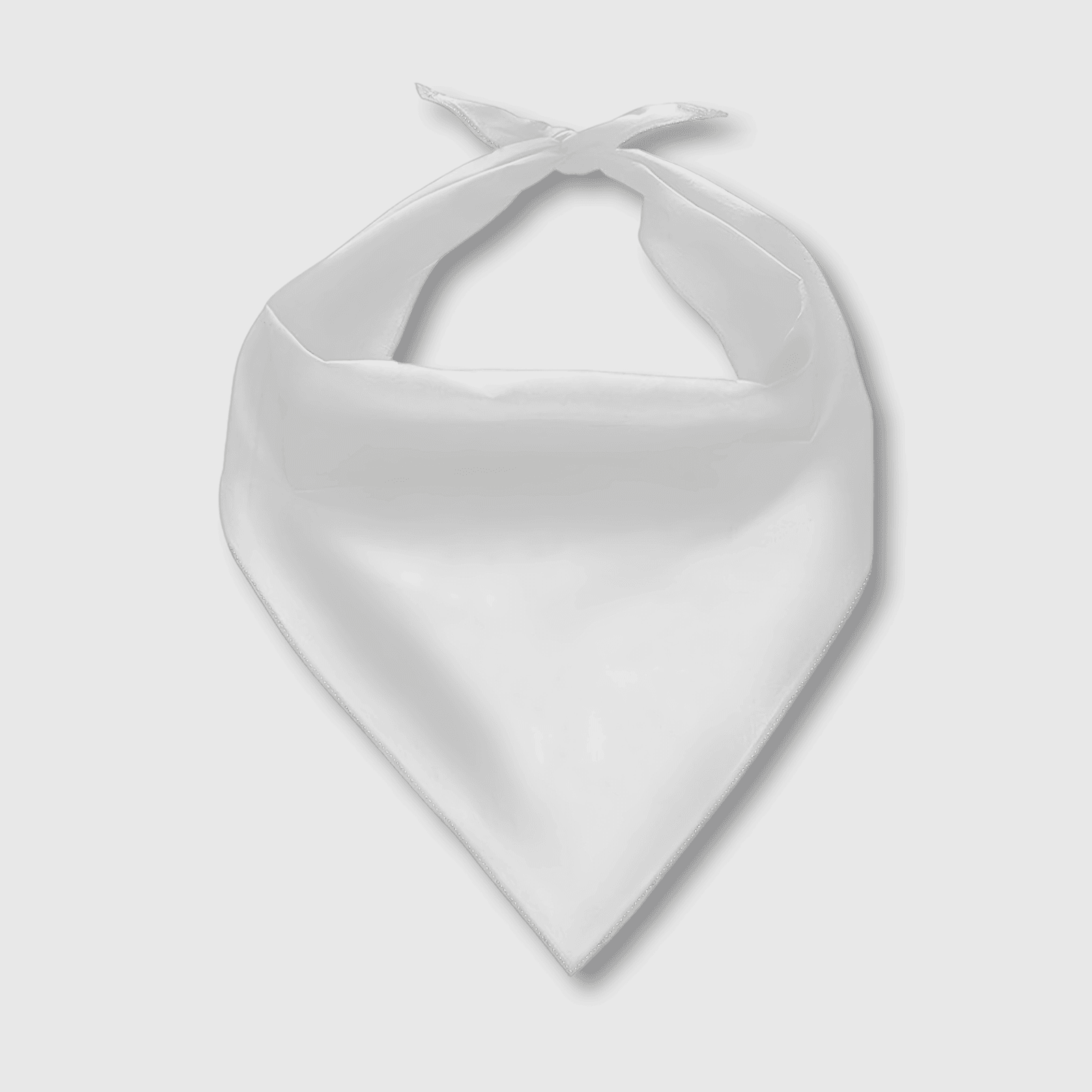 Custom Personalized Pet Bib - Image 2