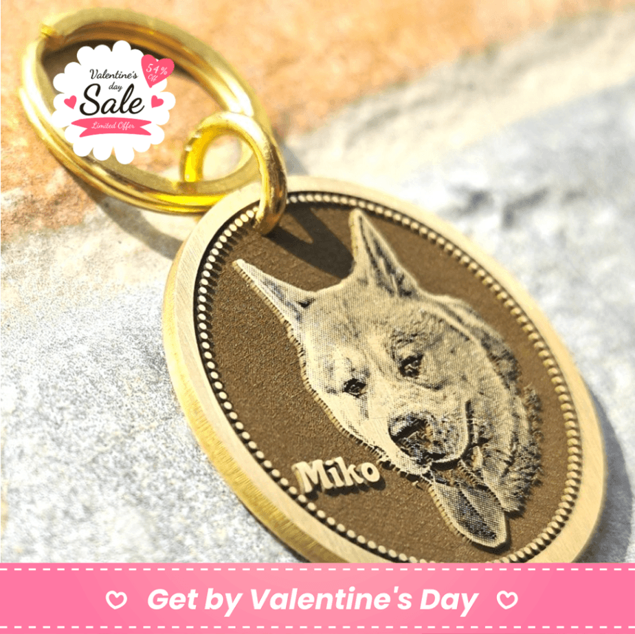 Custom Pet Photo Engraved Tag – Deep Engraving Pet ID Tag, Personalized Dog Cat Name Tag, Memorial Keepsake Keychain, Anti-Lost Pet Pendant - Image 1