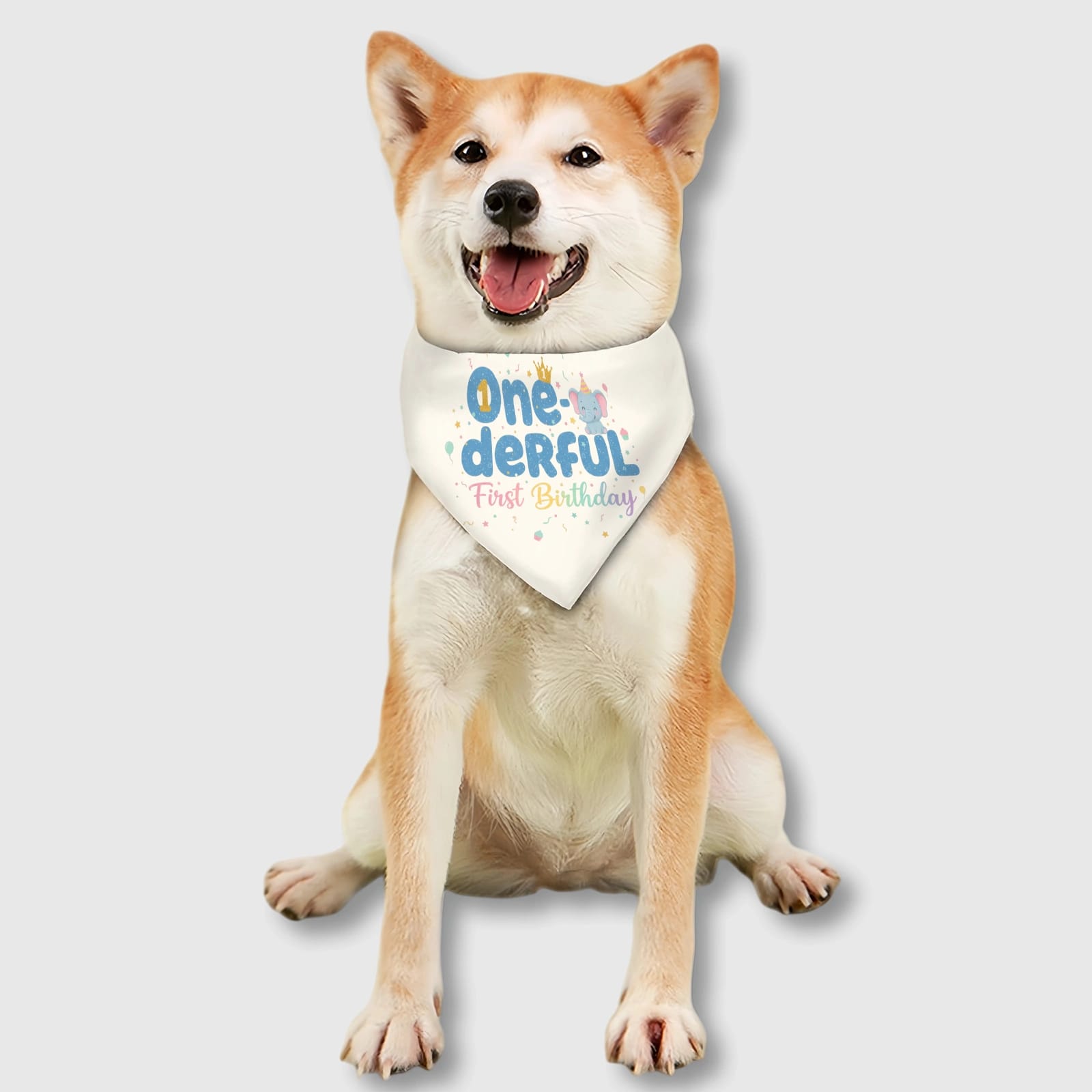 Custom Personalized Pet Bib