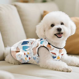 Small Dog Clothing